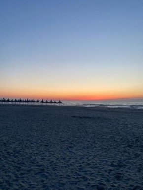 SeaView Oasis